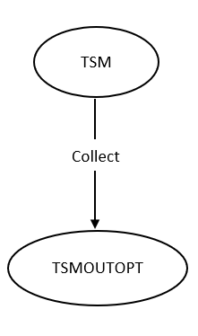 TSMOUTOPT Object Data Flow