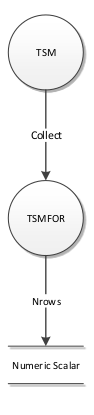 TSMFOR Object Data Flow