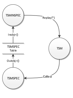 TSMSPEC Object Data Flow