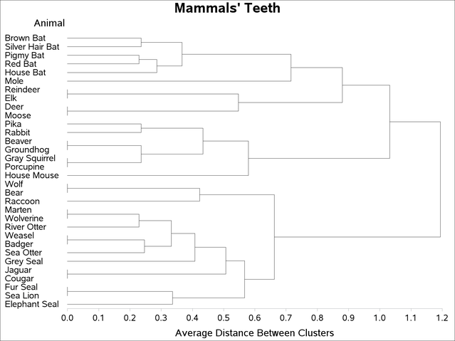 Tree Diagram of Mammal Teeth Clusters