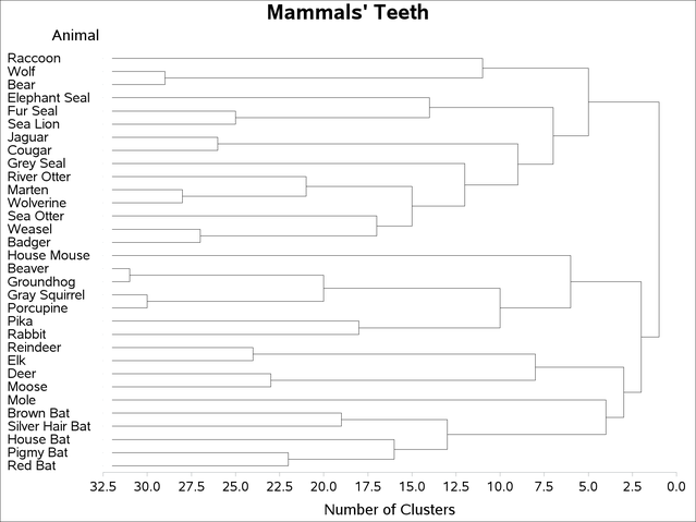 PROC TREE with SORT and HEIGHT= Options